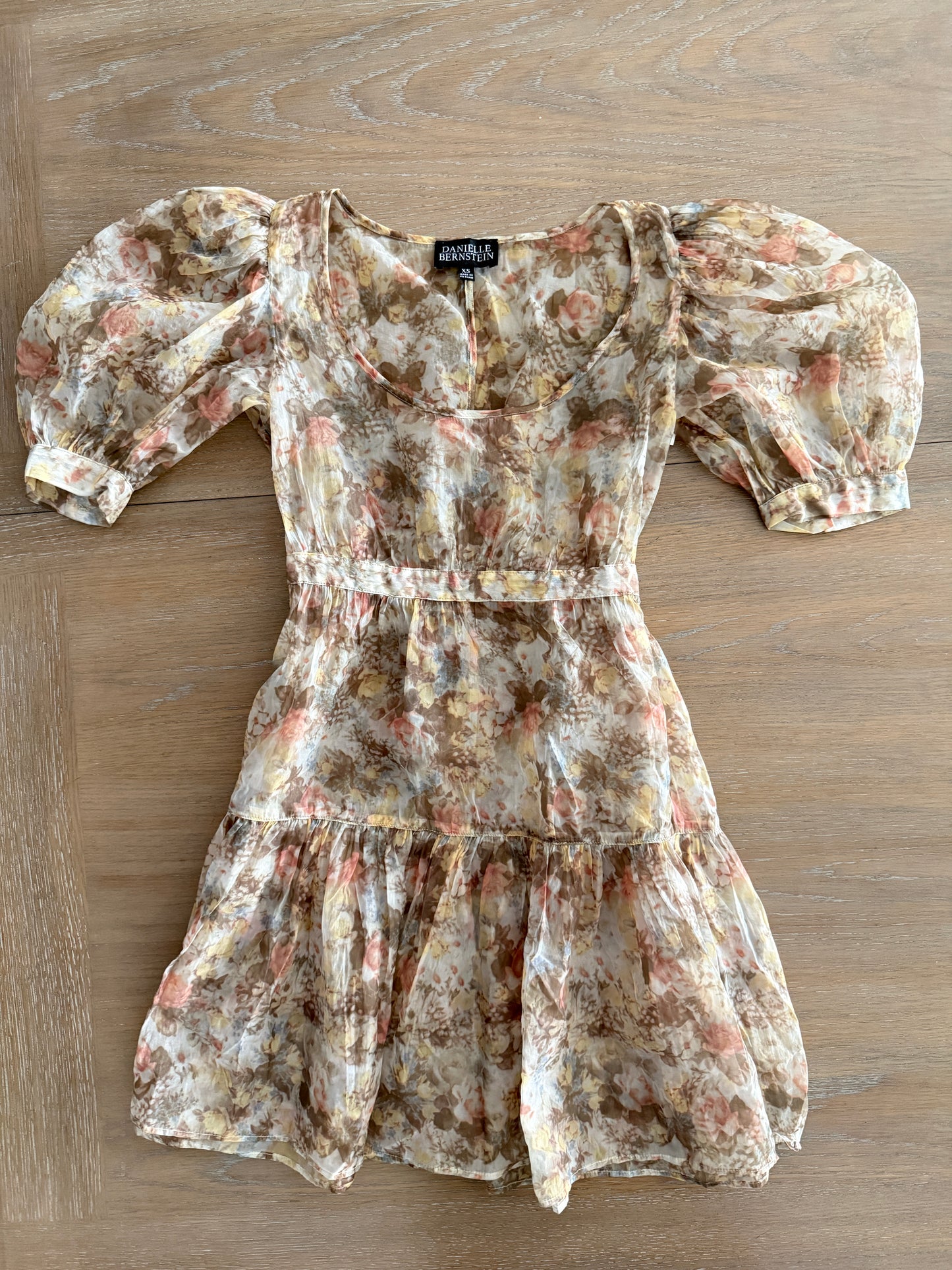 Danielle Bernstein mesh mini dress (size XS)