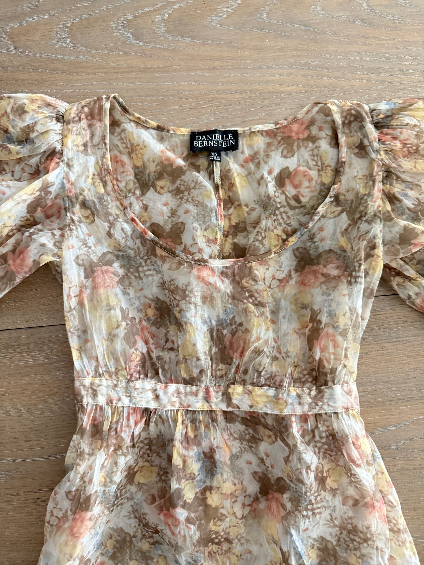 Danielle Bernstein mesh mini dress (size XS)