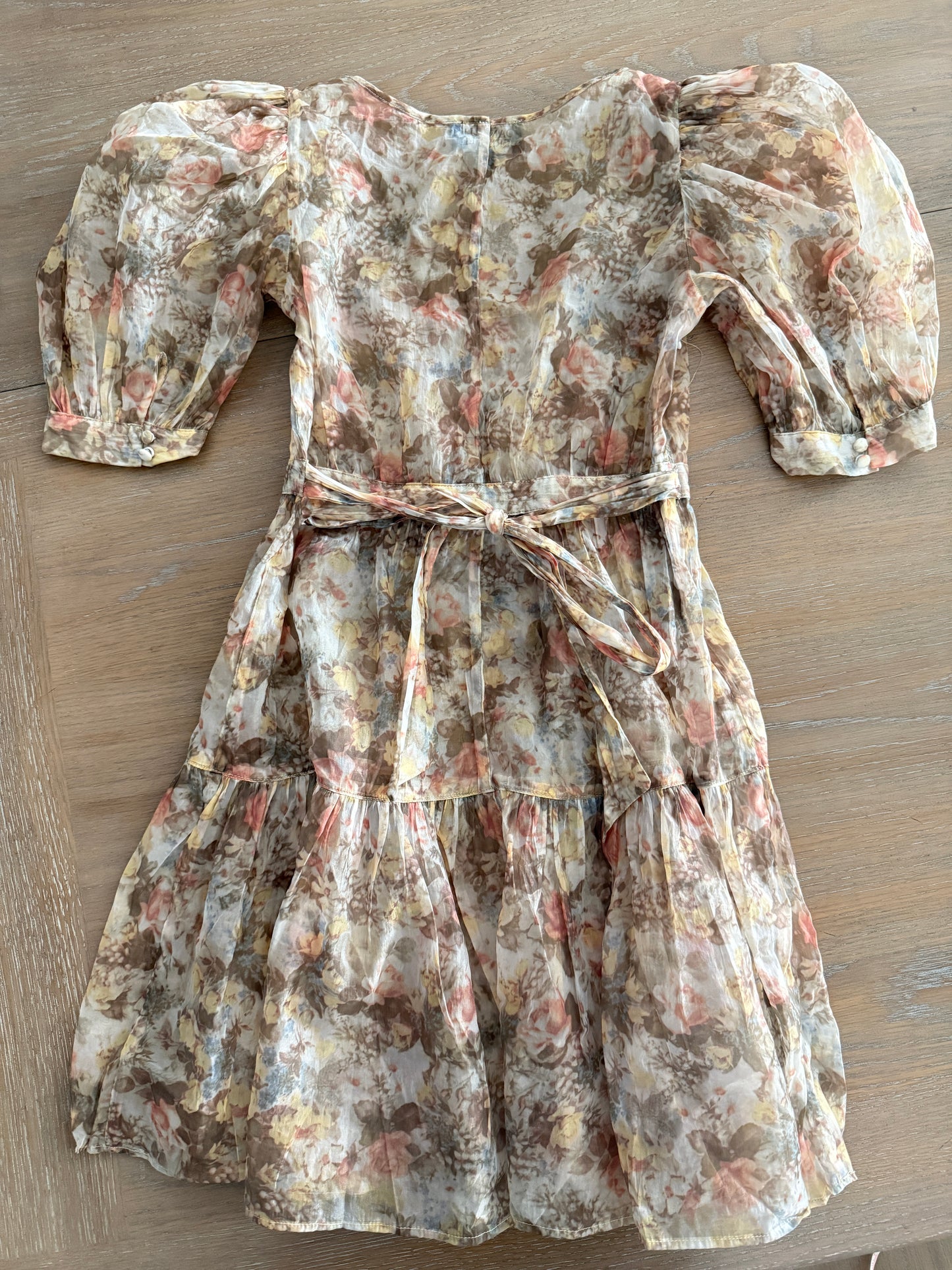 Danielle Bernstein mesh mini dress (size XS)